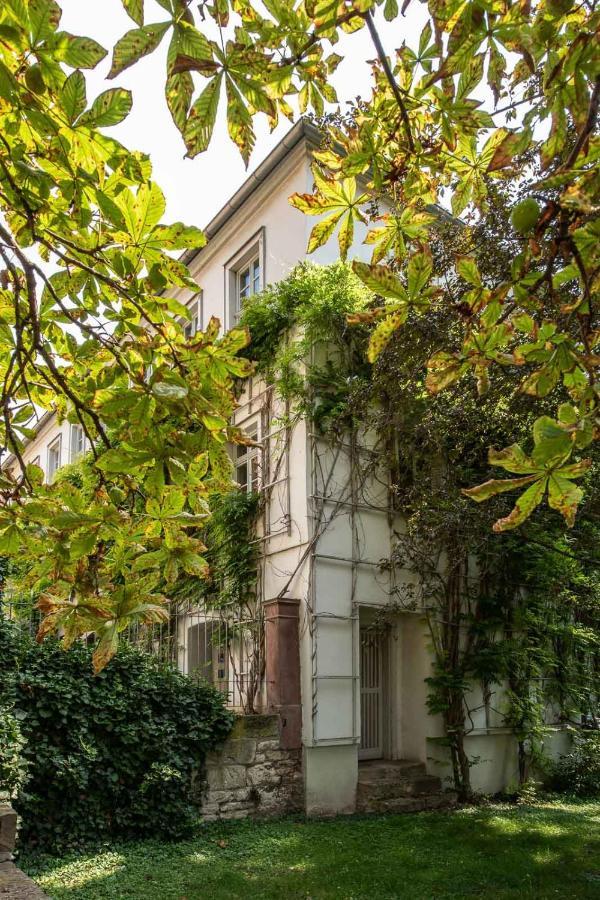 Ferienwohnung Am Dom II Naumburg  Bagian luar foto